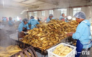 山西大同 農產品加工業銷售破43億元，產業結構優化升級