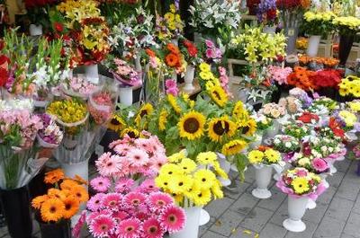 2018-2019年適合創(chuàng)業(yè)的20個(gè)好項(xiàng)目推薦 禮品花卉銷售引領(lǐng)潮流，年青人抓住機(jī)遇！